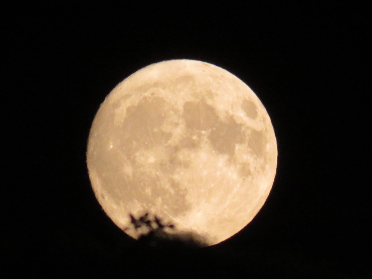 coachpam2's tweet photo. @SPACEdotcom Tonight’s look🌙! #fullsupermoon https://t.co/7QQMpcBBic
