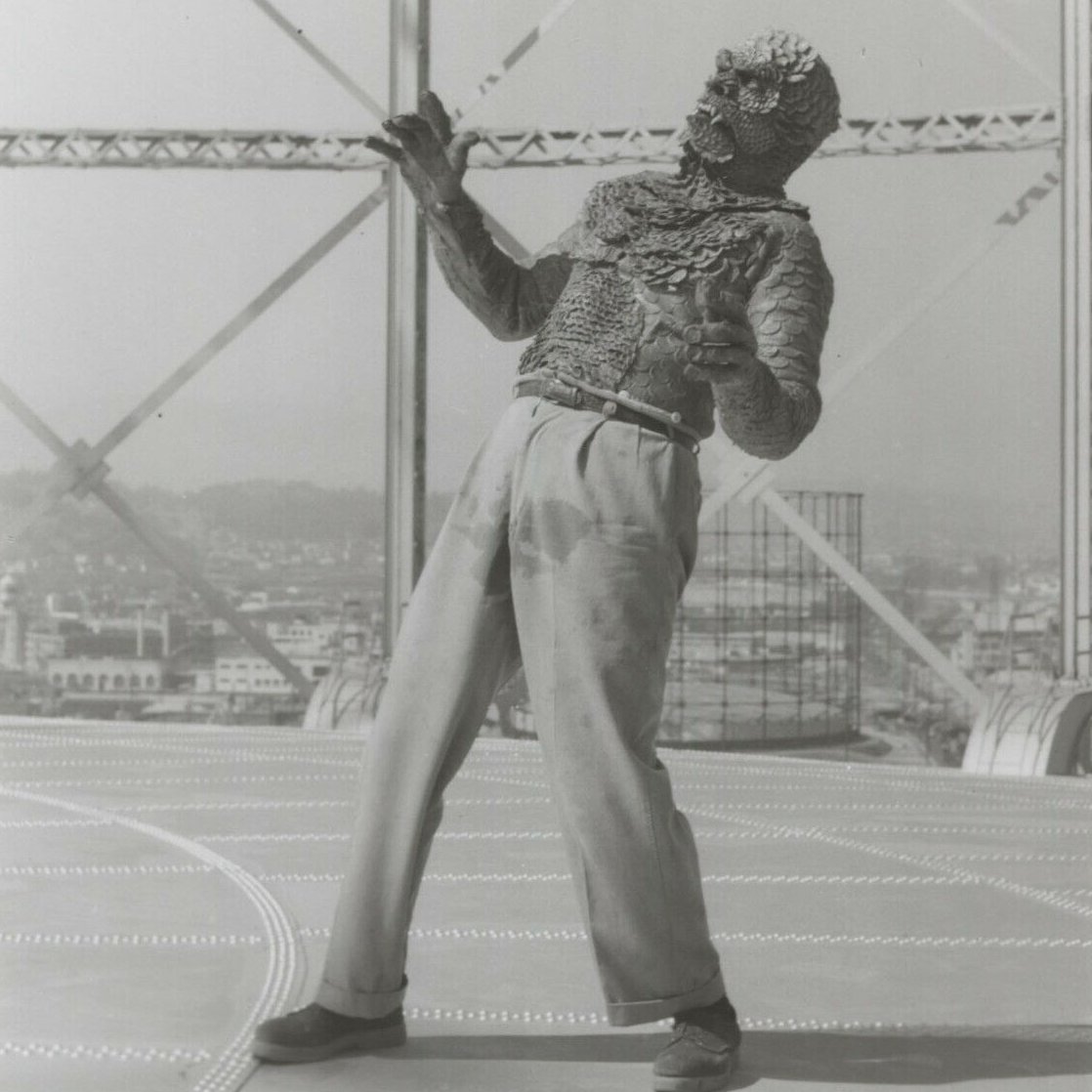 I had that dream again