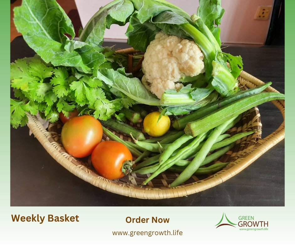 KARESAorg's tweet photo. Weekly Basket
✅We have weekly basket with fresh and chemical free green vegetables and fruits
✅Hurry and place your order to get fresh vegetables and fruits directly from farm to your kitchen
Order here:
https://t.co/cBE5dcYNlI
#GreenGrowth #WeeklyBasket #Vegetables #Fruits https://t.co/MRFBttdC6b