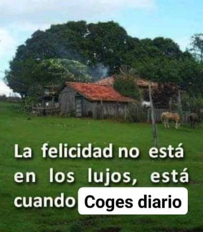 gabrrlgh's tweet photo. verdad o mentira? https://t.co/AZnEllR0e3