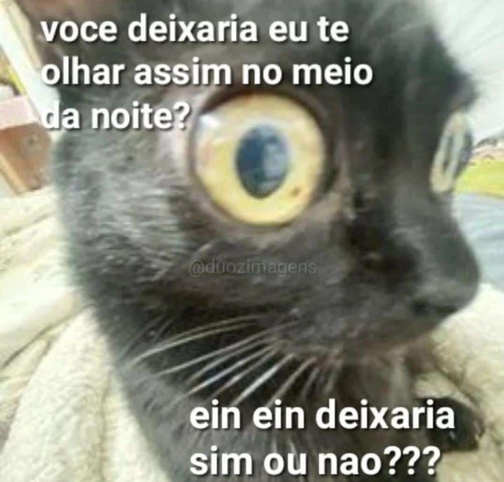 Frases aleatórias em baixa qualidade tweet media