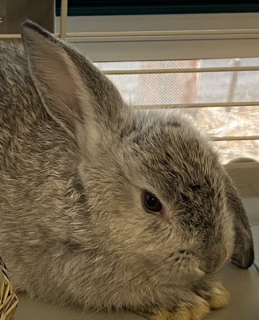 Wendy Benefield tweet media