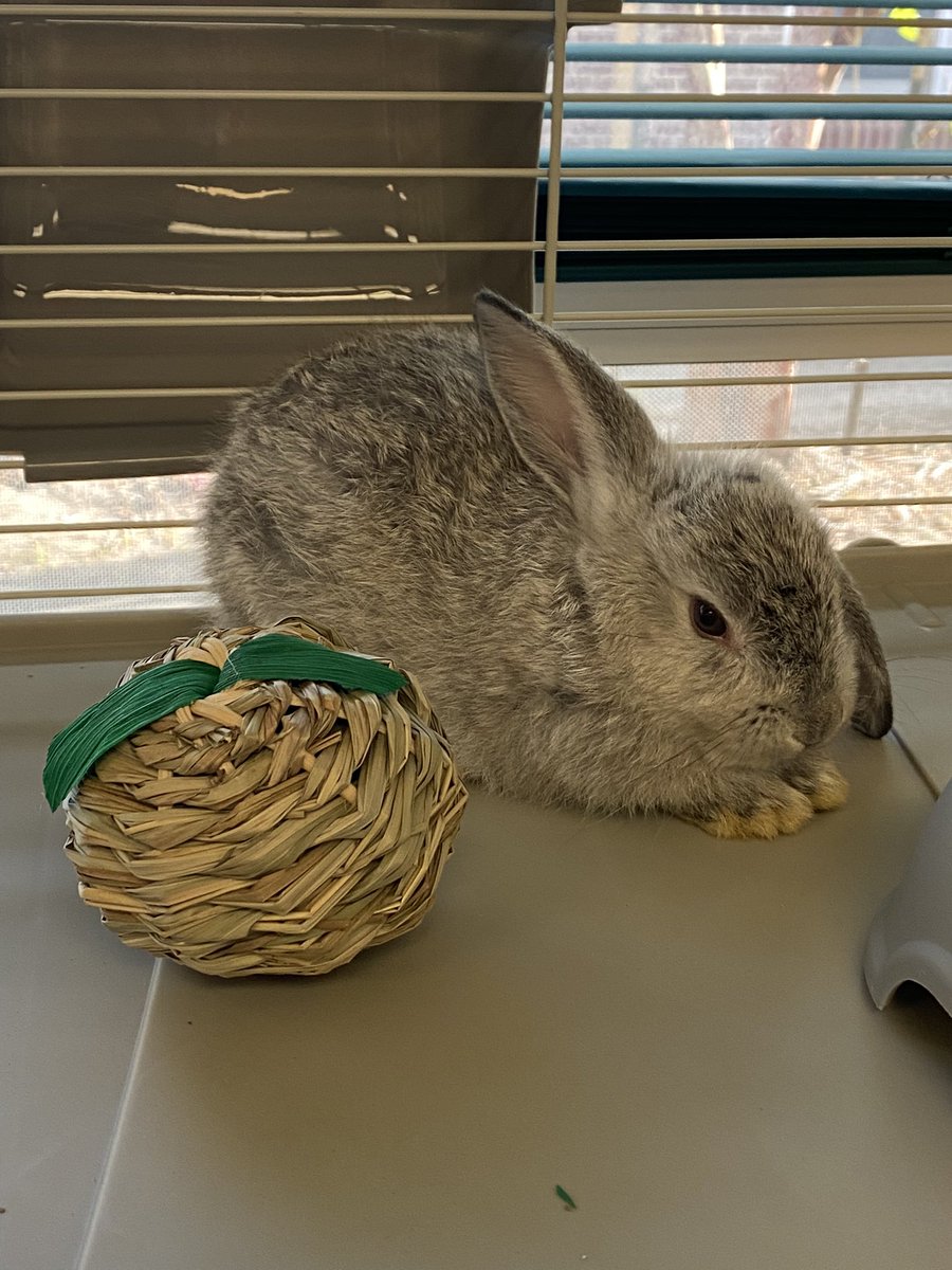 Wendy Benefield tweet media