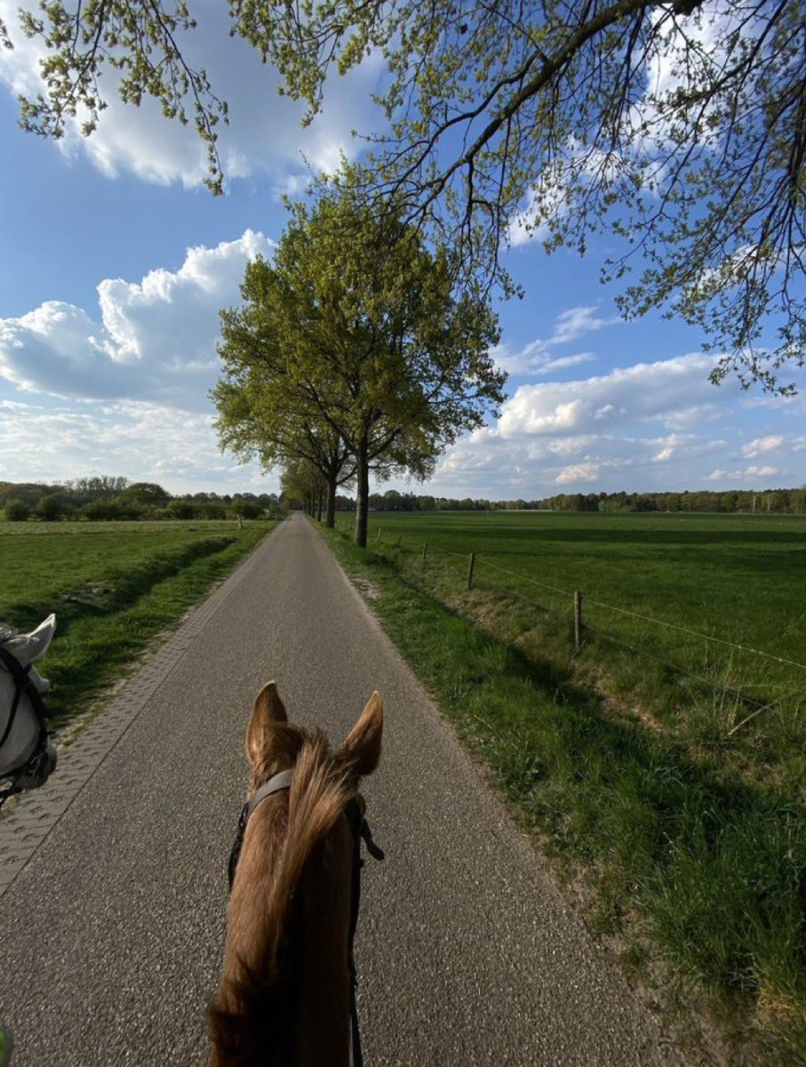 مُزدانَةْ (@_mzdanh) on Twitter photo 