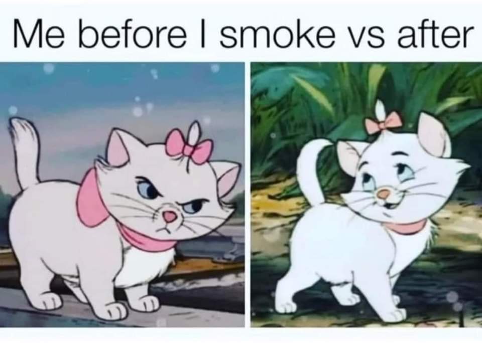 Smokybuns 🍃💨❤️‍🔥 (@smokybun420) on Twitter photo 