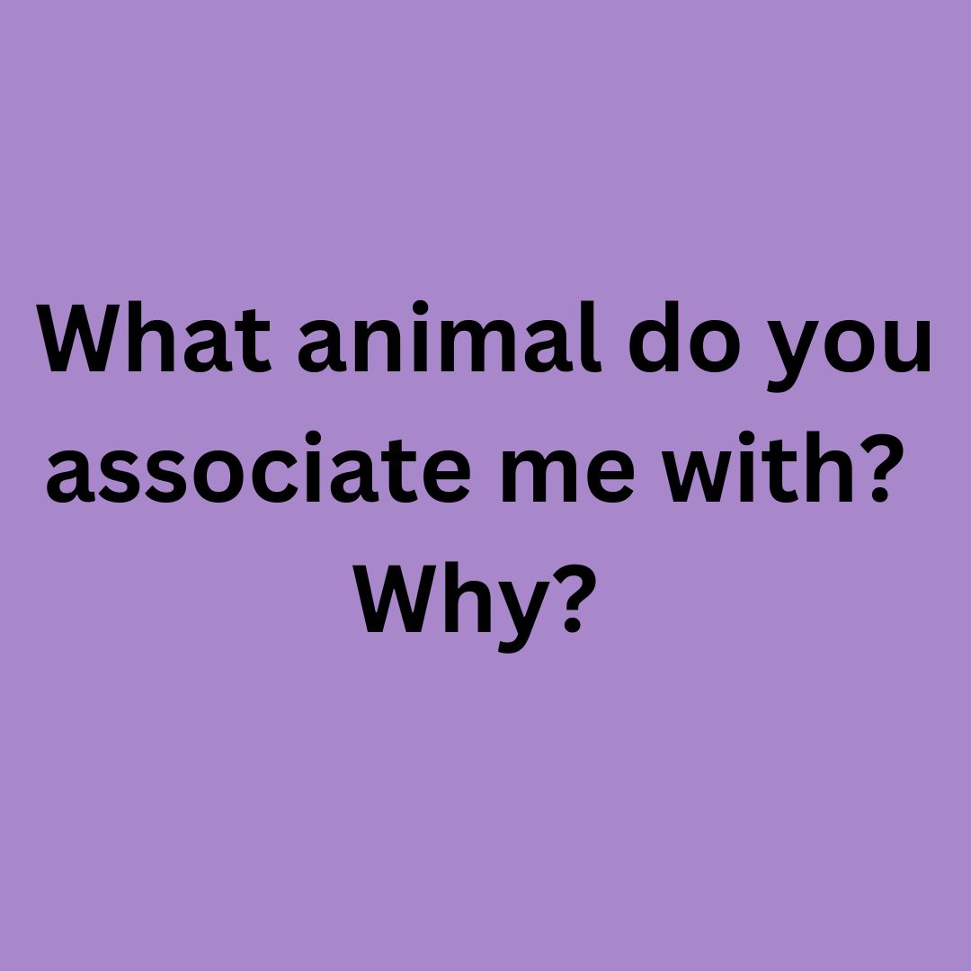 MCullerauthor's tweet photo. I'm #curious. #animal #animalassociation #challenge #questionoftheday #bookish #readersofinstagram #bookstagram #booktok 
Want a cozy #animal #cozymystery?https://t.co/pUXaa6gR3T https://t.co/kyJ0KWuZnE