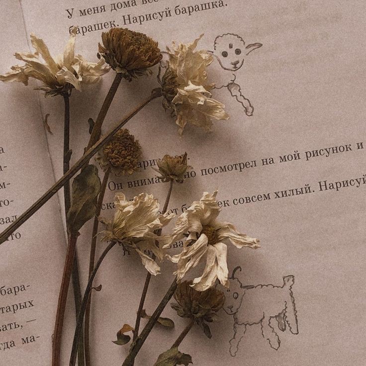 lia 𐙚 | ENHYPEN IS 7 tweet media