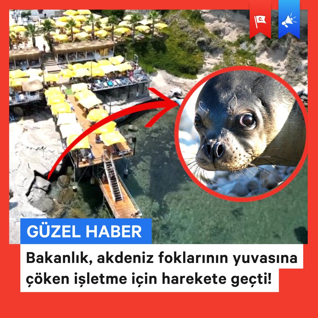 Yok öyle yağma; peşini bırakmıyoruz!

İzmir'in Karaburun ilçesindeki Ayı Balığı Koyu'nu tel örgülerle çevirip halka kapatan For You Otuz Beş isimli işletme, akdeniz fokları yaşadığı için Özel Koruma Bölgesi ilan edilen kıyıya izinsiz demir iskele kurmuştu.

Karaburun Kent Konseyi