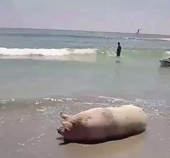 Cuándo me vaya de vacaciones no diré nada, pero habrá señales. 😑