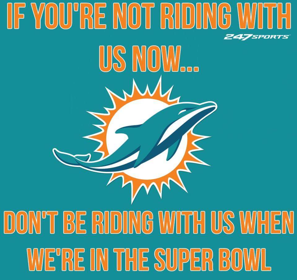 FinFanForLife's tweet photo. #finsup https://t.co/Stzn6uAkCv