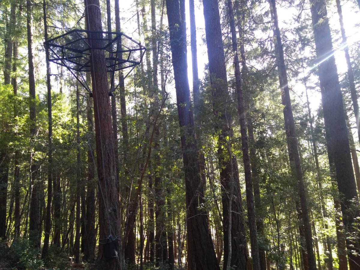 ttbaim's tweet photo. The natural scenery here is so beautiful https://t.co/URLRR0vLao