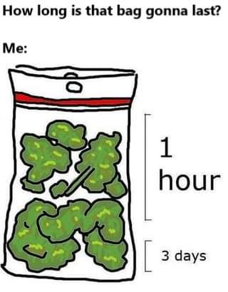 🤷🏼‍♀️