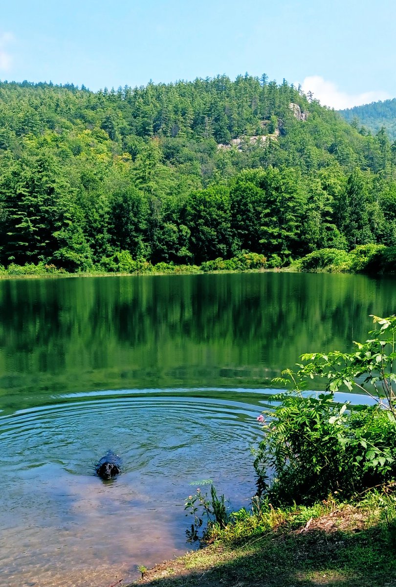danhannon's tweet image. NH love. A rare weekend getaway up in the mountains without snow. #nh #whitemountains