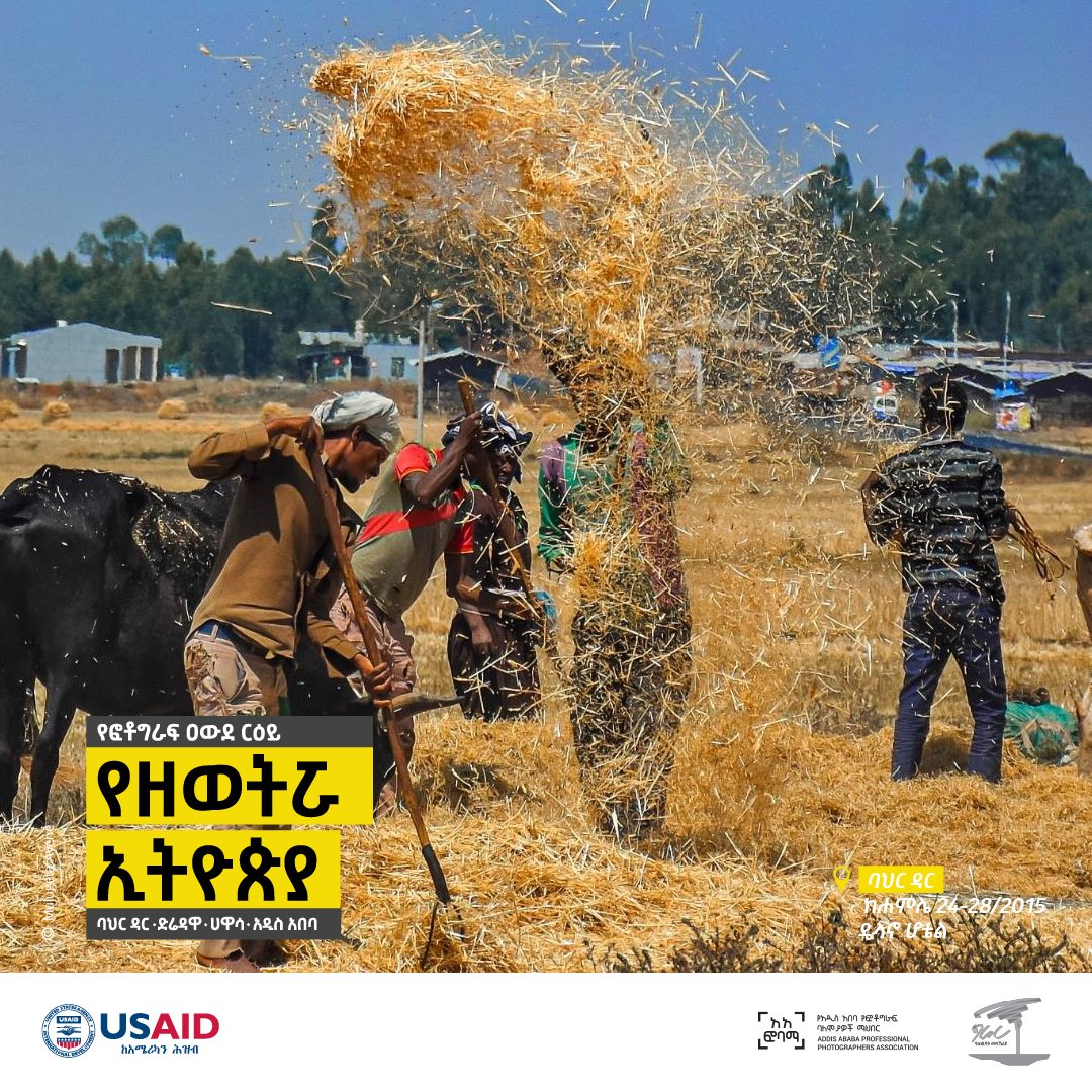 OurGerar's tweet photo. Join us at the #EverydayEthiopia touring photography exhibition by AAPPA with @USAIDEthiopia and @OurGerar. Curated by @michaeltsegaye, the exhibition will showcase the works of fifteen  photographers in Addis Ababa, Bahir Dar, Hawassa, and Dire Dawa through July and August 2023. https://t.co/G2VgDdBPdM