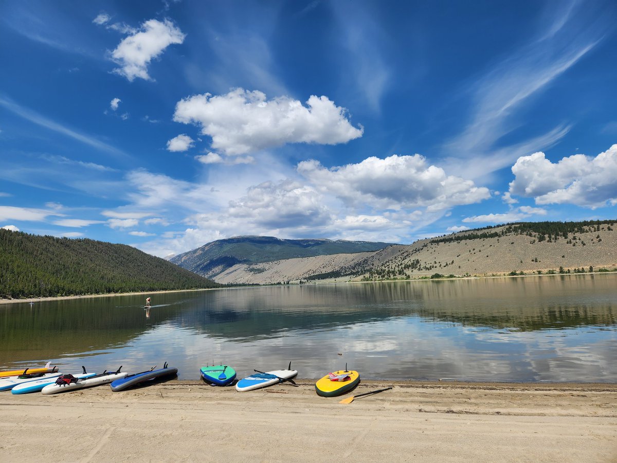 Amy Lovatt (Golden) tweet media