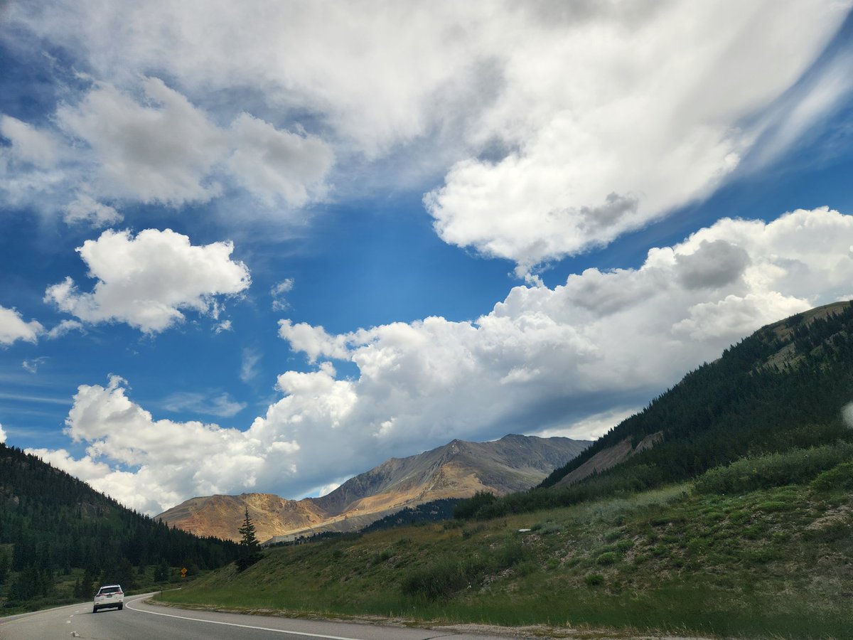 Amy Lovatt (Golden) tweet media