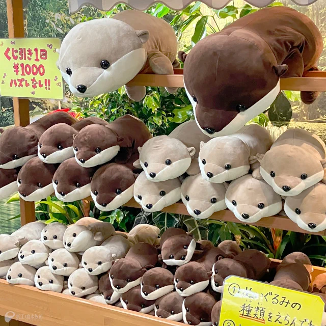 新江ノ島水族館 on X: 