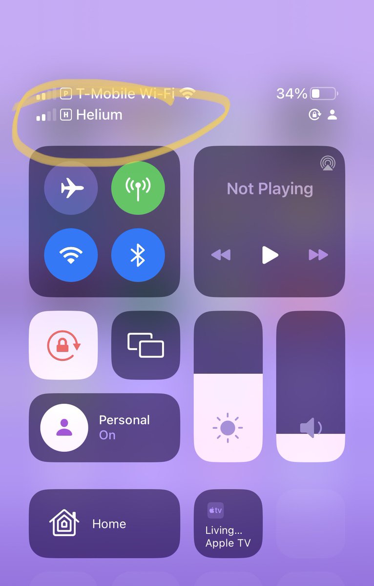 Maggie Philbin tweet media