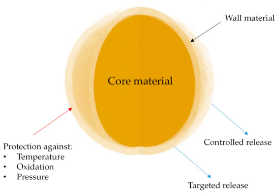 Applsci's tweet image. 📢 #HighlyCitedPaper
📚 #Microencapsulation as a Noble Technique for the Application of Bioactive Compounds in the #Food Industry: A Comprehensive Review
🔗 mdpi.com/2076-3417/12/3…
👨🔬 By Dr. Nitin Mehta et al.