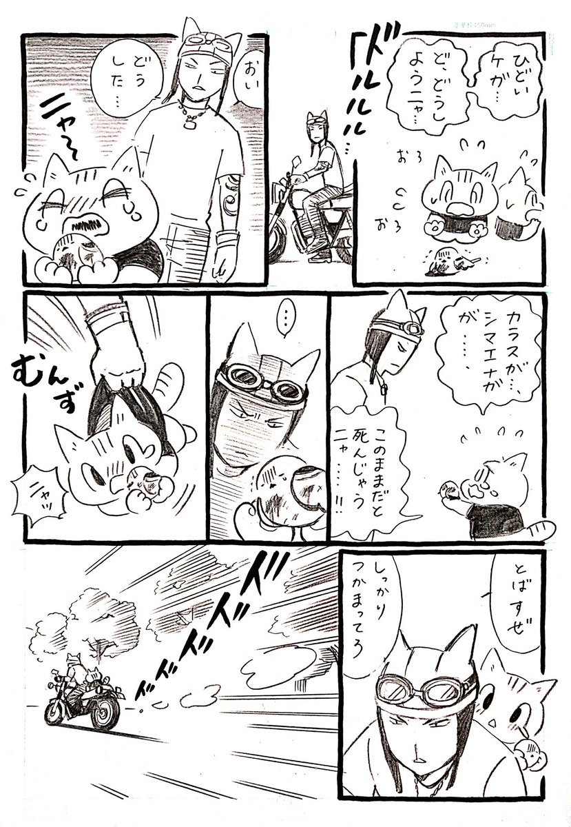 ネコがバイクに出会う漫画「ネコ☆ライダー」バイカー編 序章(1/2)🏍️🐈️ #漫画が読めるハッシュタグ