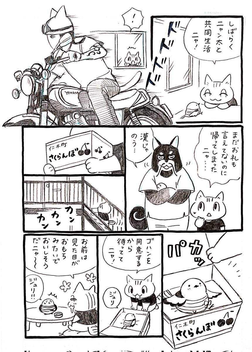 ネコがバイクに出会う漫画「ネコ☆ライダー」バイカー編 序章(1/2)🏍️🐈️ #漫画が読めるハッシュタグ