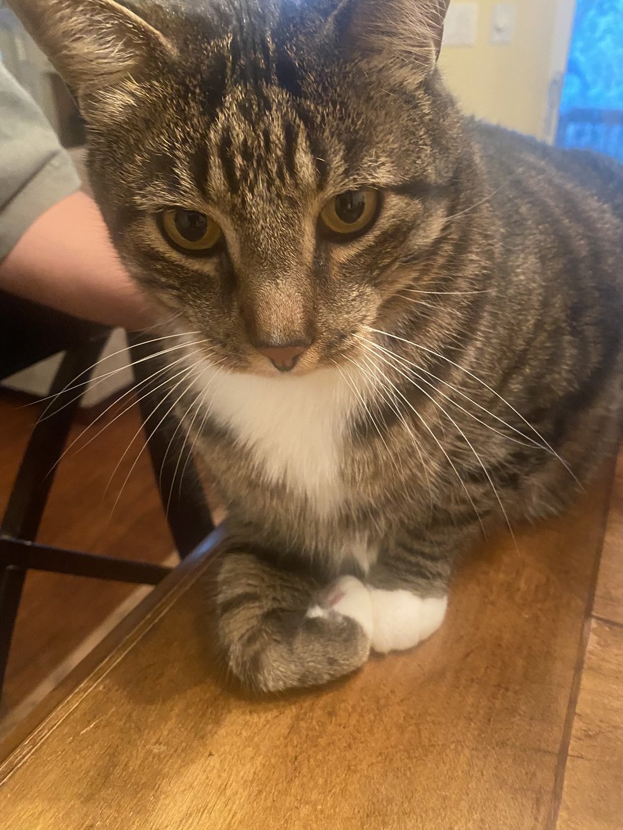 Rick Trevino tweet media