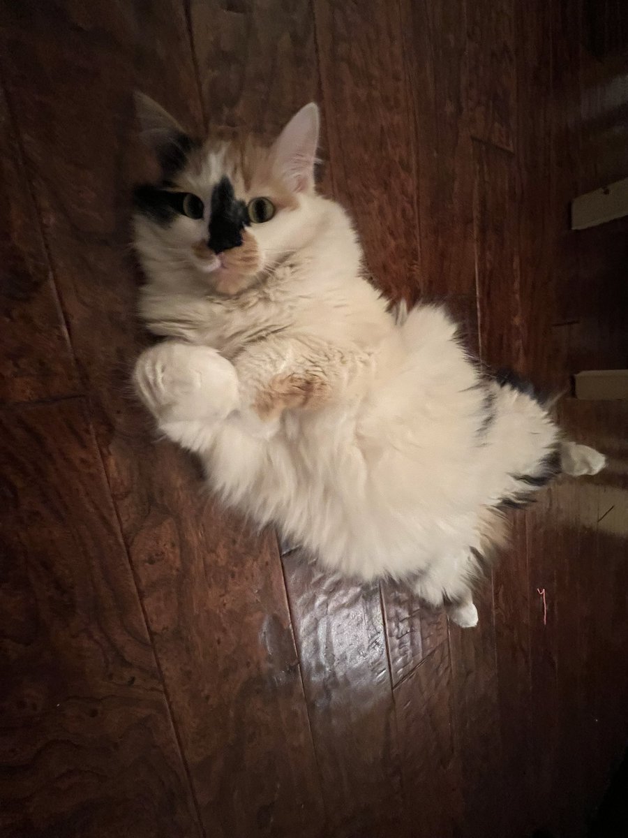 Rick Trevino tweet media