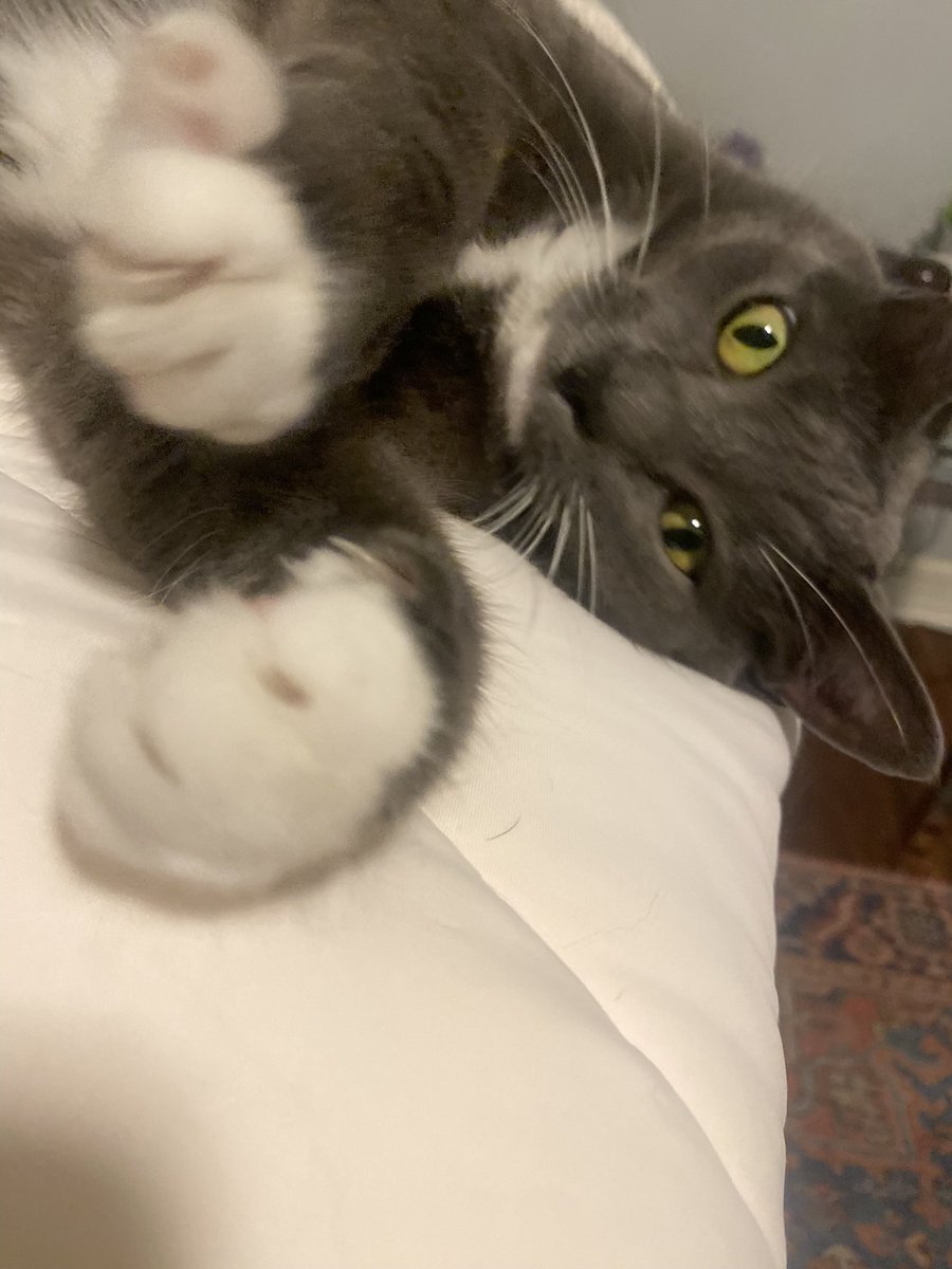 Rick Trevino tweet media