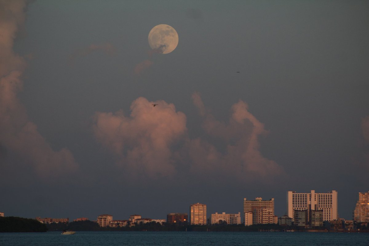 La Luna del 31/07/2023 desde Cancún...