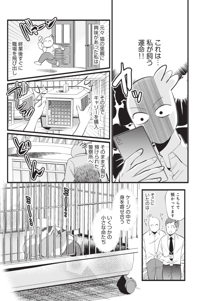 (2) 