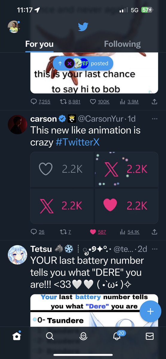 bun_rosey's tweet photo. @CarsonYur I haven’t updated twitter I still have the bird🐦 https://t.co/WF4lzsklh4