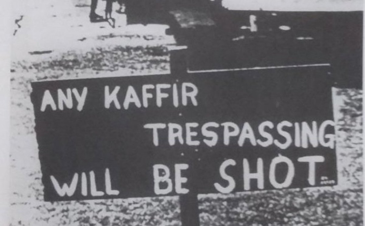 Rocks.D.Xebec tweet media