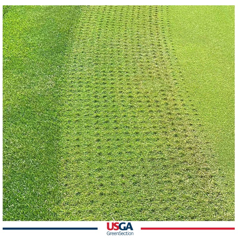 USGAGrnSection's tweet photo. It's the first day of August and many courses are showing the signs of a tough summer. A little targeted maintenance can help you make it through the tough weeks ahead even if your team is already stretched thin.