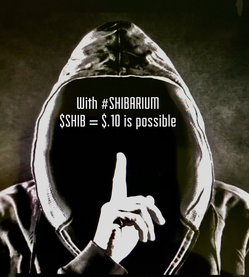 SHIB POSSESSOR tweet media
