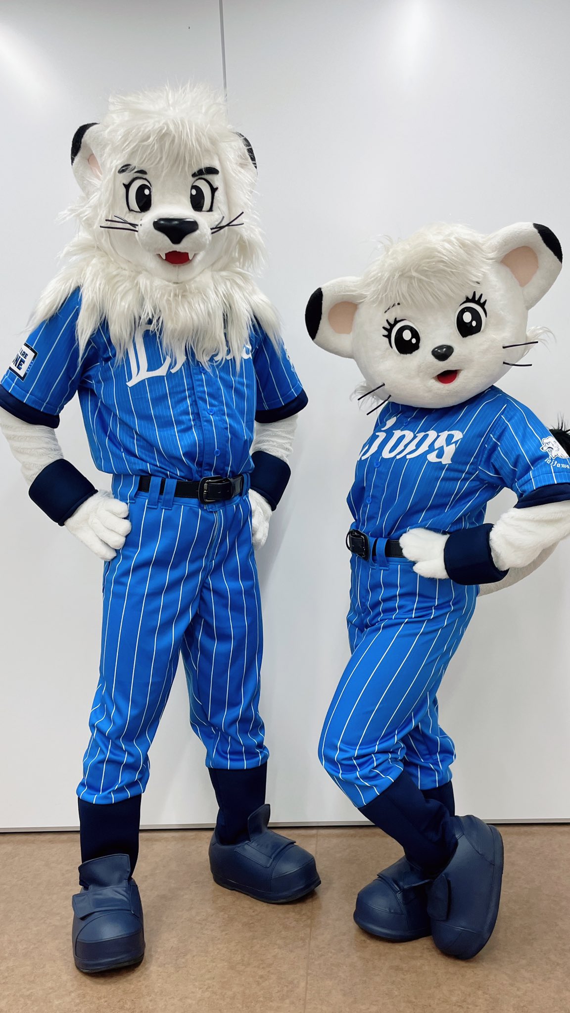 ご当地ベア 埼玉西武ライオンズ レオ ぬいくるみ S プロ野球