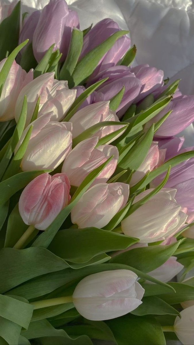 lIlanonymouslIl's tweet photo. #ดอกไม้ #วอลเปเปอร์ #wallpapers #วอลเปเปอร์ไอโฟน #วอลเปเปอร์มือถือ #รูปหน้าจอ #รูปหน้าจอมือถือ #รูปHD #วอลคู่ #รูปคู่ #รูปหน้าจอคู่
ฝาก follow ด้วยนะครับ ❤️ https://t.co/DLEzbr8StQ