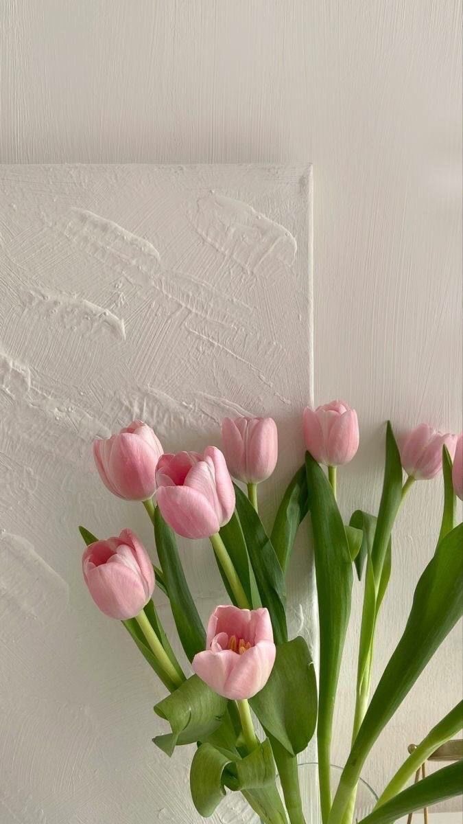 lIlanonymouslIl's tweet photo. #ดอกไม้ #วอลเปเปอร์ #wallpapers #วอลเปเปอร์ไอโฟน #วอลเปเปอร์มือถือ #รูปหน้าจอ #รูปหน้าจอมือถือ #รูปHD #วอลคู่ #รูปคู่ #รูปหน้าจอคู่
ฝาก follow ด้วยนะครับ ❤️ https://t.co/DLEzbr8StQ