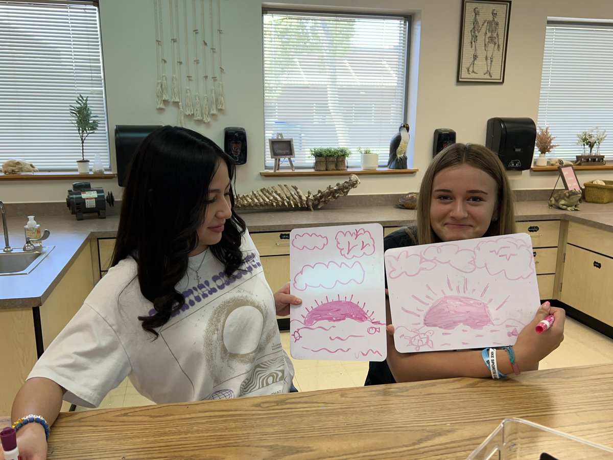 Christy Scofield tweet media