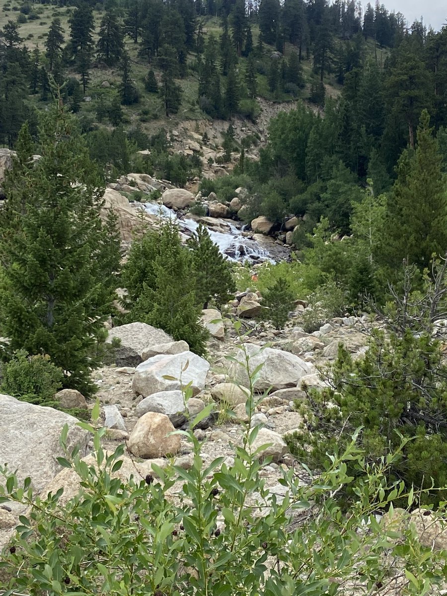 157Cgoscience's tweet photo. Just hanging out in Rocky Mountain National Park with a bunch of teachers to recharge and connect! #STEAMinthepark https://t.co/YY8JBLyU15
