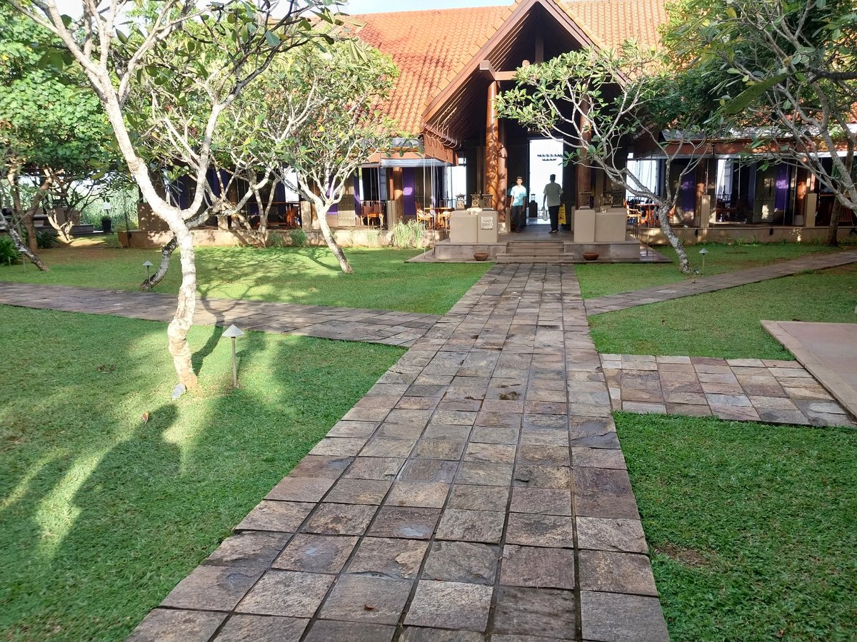 rislyi's tweet photo. You can get memorable experience in here sri lanka....

Ideal for Honeymoon couples, Birtday funtions, Parties, iconic weding functions..

#Srilanka #tours #luxurytours #beach #travel https://t.co/CX9B2vGkce