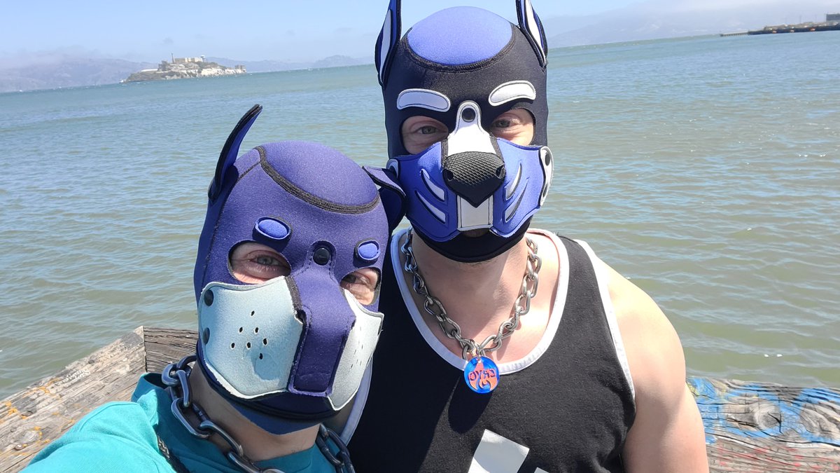 pupdagr's tweet photo. An amazing weekend experiencing Dore for the 1st time. Met plenty of great new pup friends and reconnected with old.

Most of all, I got a long weekend with this Bully holding my keys. Whether they're to my neck, bone or heart, I know they are in good pawbs. https://t.co/QxyaGalSh9