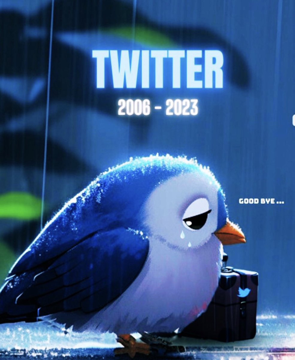 Karla Gomez (@karlagomezr) on Twitter photo 