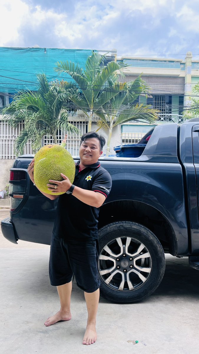 PhmLTun1's tweet photo. Cây nhà lá vườn vạn Xuân nha trang https://t.co/d23GdfA9j2