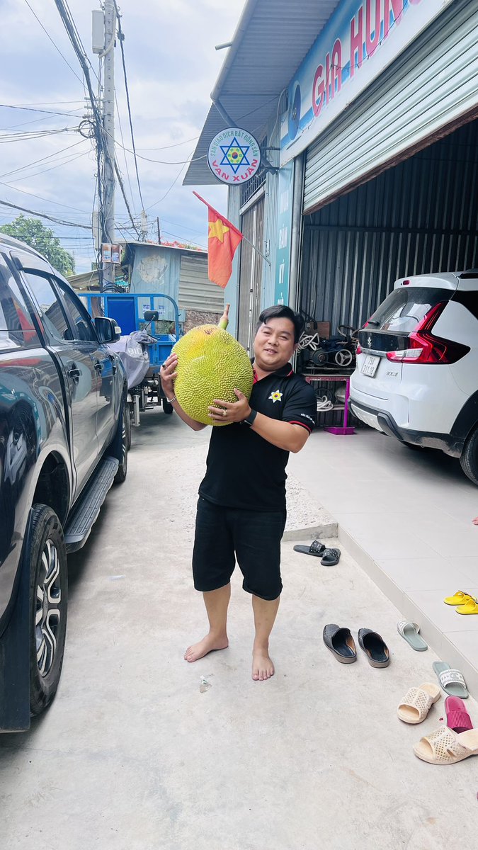 PhmLTun1's tweet photo. Cây nhà lá vườn vạn Xuân nha trang https://t.co/d23GdfA9j2