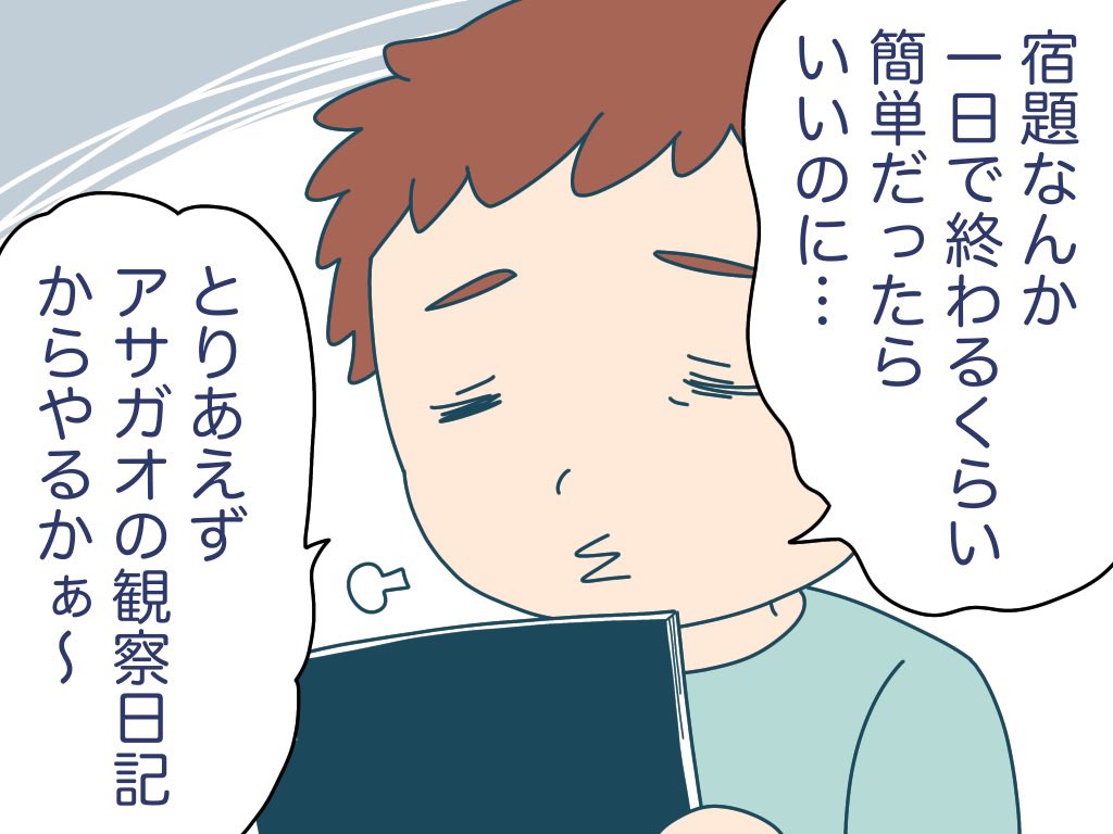 タマリーフとなつやすみ①