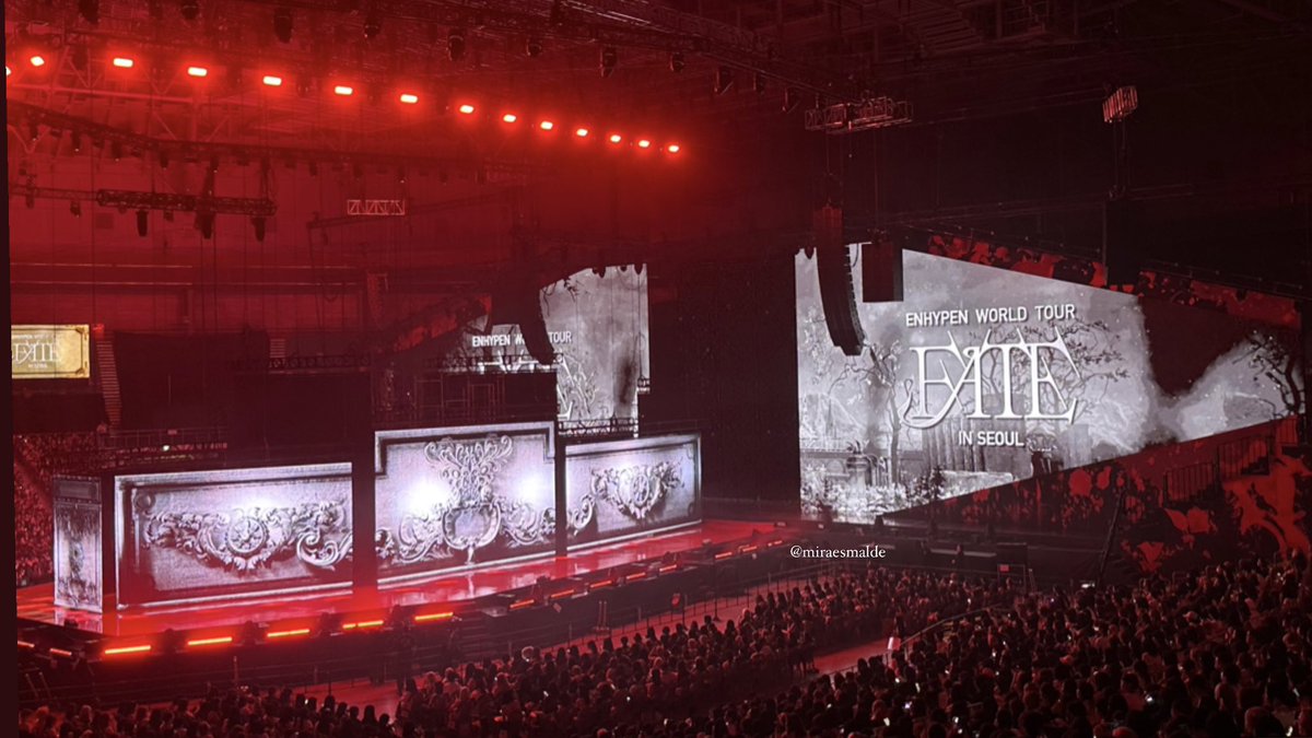 Mira 🌸✨ tweet media