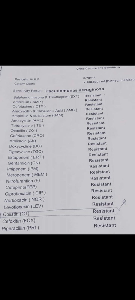 "ANTIBIOTIC RESISTANCE"  the future #pandemic 
Just an urine c/s 🫨🫨