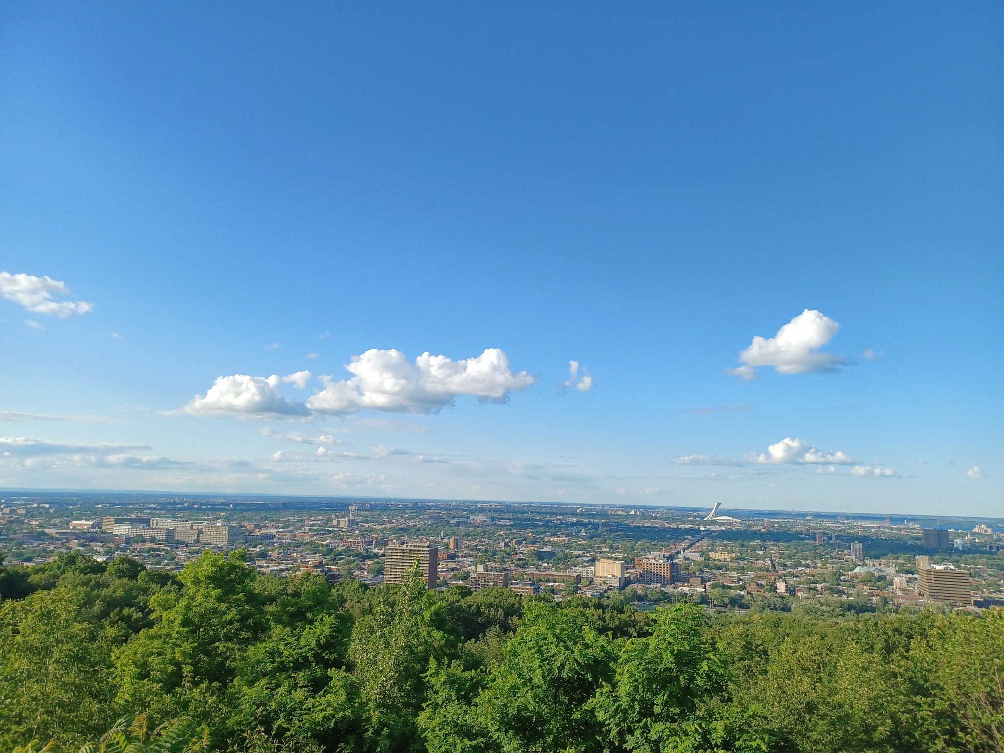 looking at the city