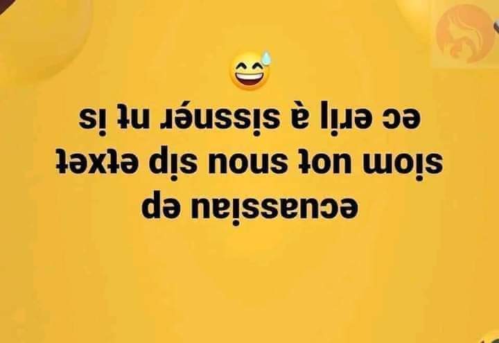 Cissou en poche tweet media