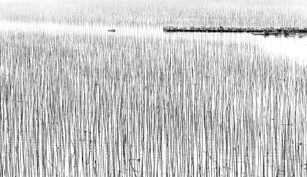 #CitazioniAlVolo

"lo #Stato? non esiste!
'Stato' è/son #persone
che sfruttan il #potere
per favorir i loro #interessi…
…e abbindolan il #popolo
(ehm, spesso assai  #popolino,
ossia assai ben gretto e meschino)
grazie al #gregge
dove l* stupid* si erge a
#dittatura"

#vocifuori